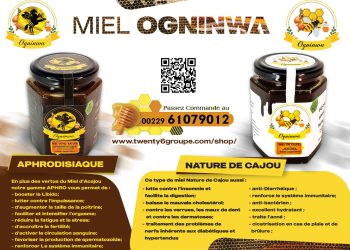 miel-purmieldunordbenin-apiculteur-achat-miel-achatmiel-acheterunbonmiel-mielaphrodisiac-mielcicatrisant-meilleurmieldubein-meilleur-miel-du-benin-twenty6groupe-patricetalon-trump-elonmusk-acheterlemeilleurmiel-legoutdeca-goutmiel-les-vertues-du-miel-lesvertuesdumiel-lemeilleurvendeurdemiel-vendeurdemiel-moin-cher-qualite-sans-=additif-mielmoinsheracotonou-mielsansadditif-marqueogninwa-ogninwa-pur-miel-du-nord-benin-seo-google-secrets-du-miel-bienfaits-du-miel-secretsdumiel-bienfaitsdumiel-mielnaturel-miel-naturel-biomiel-mielbio-miel-bio-jean-pliya-jeanpliya-aphrodisiaque-mielaphro